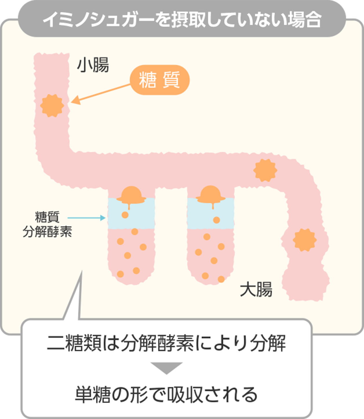公式】糖の吸収を抑え、血糖値の上昇を抑制する桑葉青汁 公式】糖の吸収を抑え、血糖値の上昇を抑制する桑葉青汁