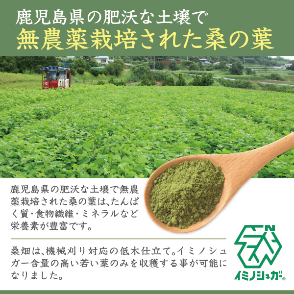 国産原料100％桑の葉青汁紹介文１