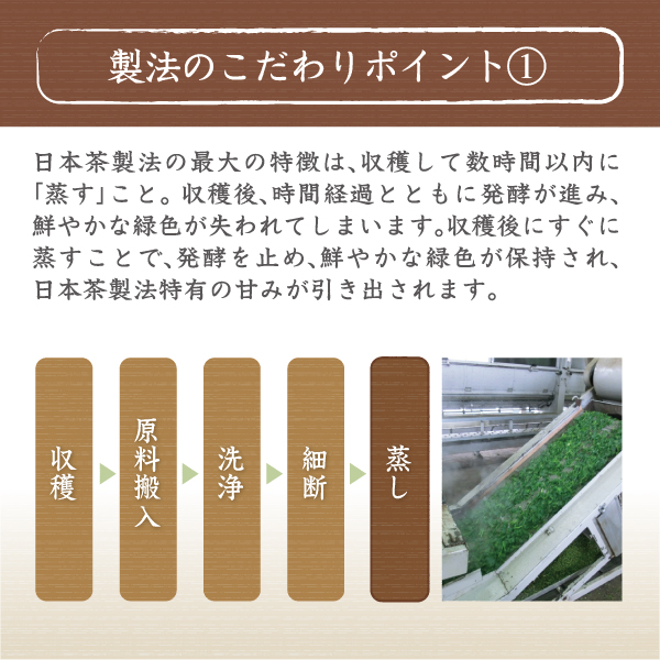 桑の葉茶日本茶製法のこだわりポイント１