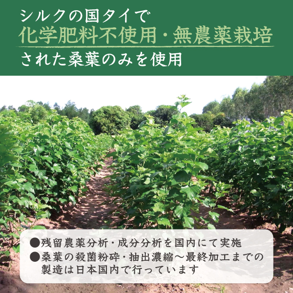 桑の葉エキスの原料原産国はタイ