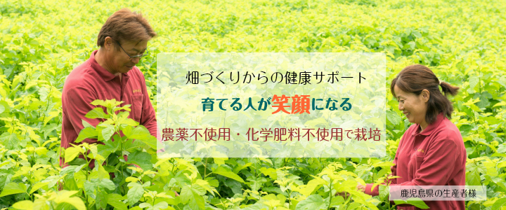 トップイメージ画像2